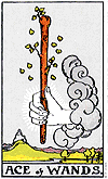 [picture of Ace of Wands]